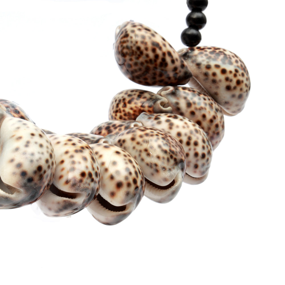 The Tiger Cowrie Necklace Black Wood on Stand