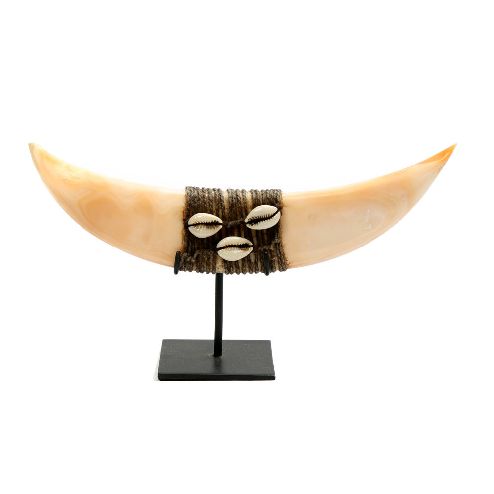 The Horn Shell On Stand